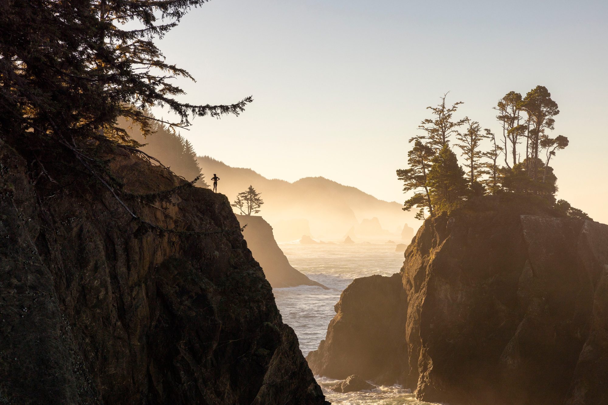 Sea stacks and evergreen headlands in golden-hour fog