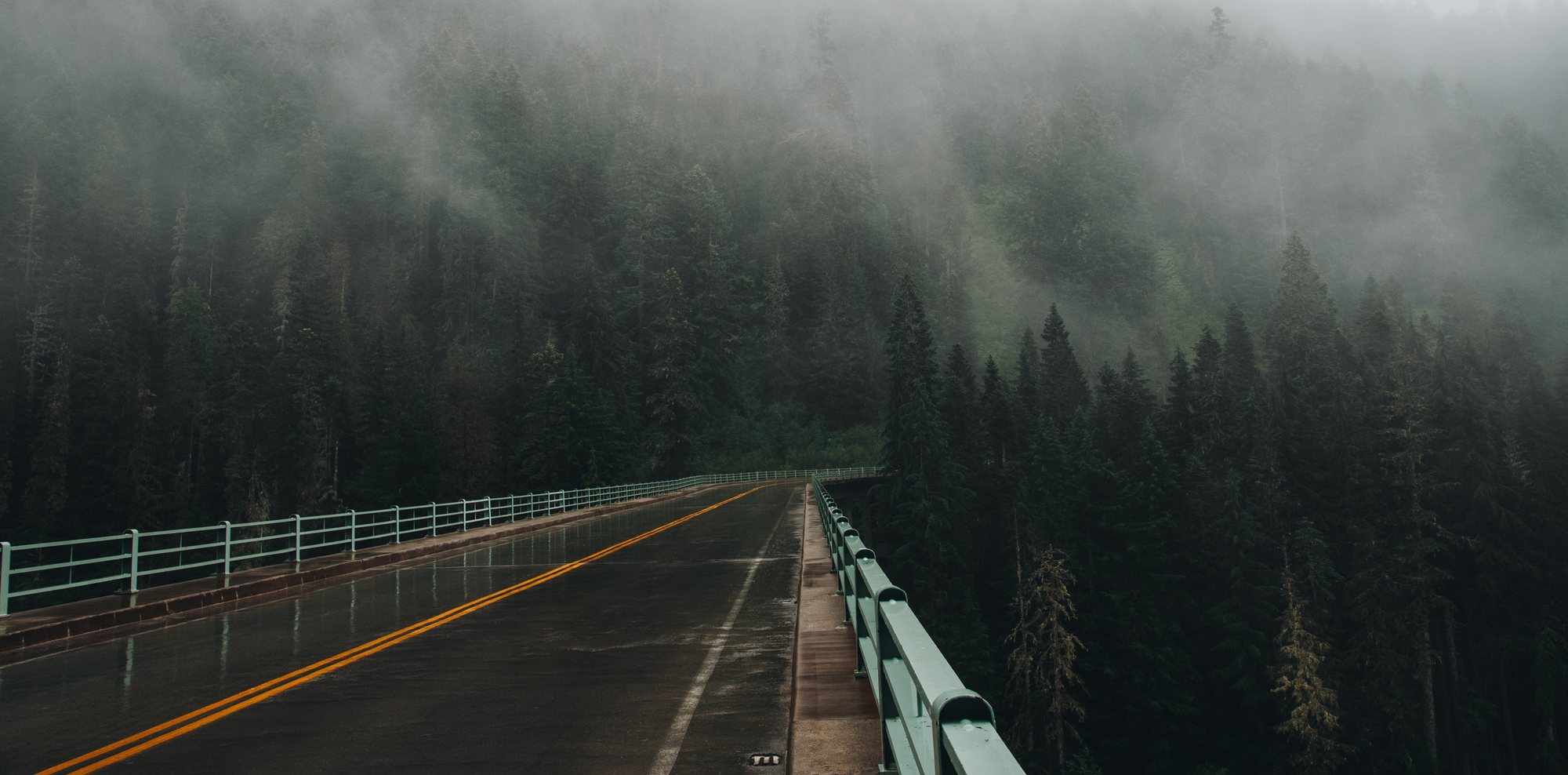 A wet two-lane road crossing a bridge into fog-covered evergreen forest